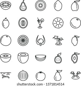 thin line vector icon set - orange vector, water melon, mango, half of, loquat, lime, kiwi, tamarillo, guawa, piece coconut, slice pineapple, grapefruit, ripe guava, part, physalis, persimmon, beach