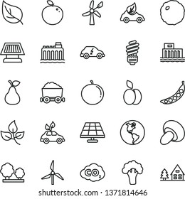 thin line vector icon set - saving light bulb vector, porcini, cabbage, apple, pear, tangerine, delicious, peas, broccoli, solar panel, leaves, leaf, windmill, wind energy, planet Earth, trees, sun