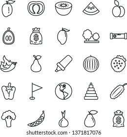 thin line vector icon set - pennant vector, stacking toy, construction level, peper, strawberries, apple, pear, water melon, mango, half loquat, ripe plum, kiwi, slice of, tomato, hot pepper, onion
