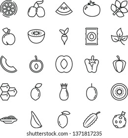 thin line vector icon set - slices of onion vector, tomato, peper, garlic, honeycombs, peach, rose hip, tasty cornels, slice melon, half, cherry, passion fruit, lemon, kiwi, sour lime, water, radish