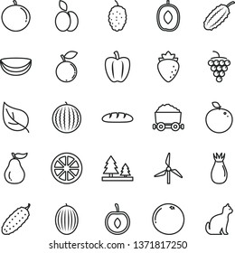 thin line vector icon set - loaf vector, cucumber, apple, large grape, raspberry, rose hip, blueberry, mulberry, melon, water, delicious plum, tangerine, half cherry, juicy lemon, piece of coconut