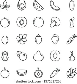 thin line vector icon set - porcini vector, carrot, blueberries, orange slice, plum, raspberry, fig, of melon, half peach, date fruit, tangerine, tasty, cherry, passion, tamarillo, piece coconut