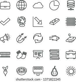 thin line vector icon set - renewal vector, check mark, pie chart, negative, warm socks, yule, suitcase, heating coil, earth, big data server, fish, half of grapefruit, part guava, radish, weaving