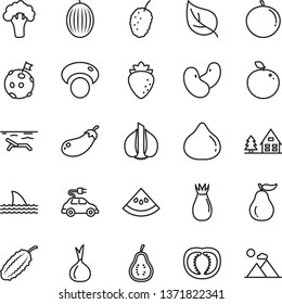 thin line vector icon set - raspberry vector, rose hip, fig, tasty mulberry, melon, tangerine, delicious apple, ripe guava, part of, slice water, half tomato, garlic, onion, beans, mashroom, leaf