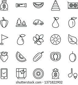 thin line vector icon set - pennant vector, stacking toy, construction level, a glass of tea, pear, strawberry, slice water melon, ripe plum, passion fruit, half kiwi, pineapple, tomato, pepper