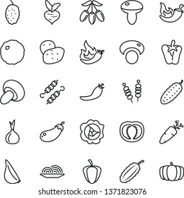 thin line vector icon set - fried vegetables on sticks vector, onion, mushroom, porcini, meat skewers, cabbage, cucumber, chili, peper, garlic, carrot, squash, mulberry, goji berry, half tomato, red