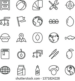 thin line vector icon set - sign of the planet vector, book, toys over cradle, cot, baby bath ball, small tools, sample colour, map, flag, nightstand, package, bundle eggs, cake, barbecue, fish