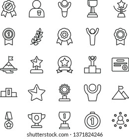 thin line vector icon set - star vector, medal, winner, laurel branch, pedestal, podium, prize, award, cup, gold, reward, man hands up, with, motivation, mountain flag, first place, pennant, ribbon