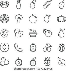 thin line vector icon set - deep plate with a spoon vector, blueberries, strawberries, mint, rose hip, cornels, tasty mulberry, slice of melon, mango, delicious plum, half peach, tangerine, cherry