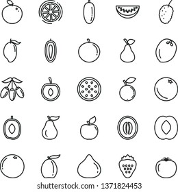 thin line vector icon set - strawberry vector, pear, orange, apricot, fig, blueberry, tasty mulberry, mango, loquat, goji berry, delicious plum, half peach, melon, water slice, date fruit, tangerine