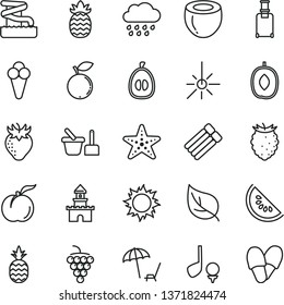 thin line vector icon set - rainy cloud vector, toy sand set, cone, a pineapple, ripe peach, large grape, strawberry, tasty raspberry, blueberry, slice of water melon, delicious plum, half loquat