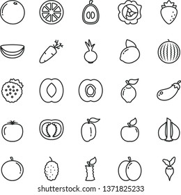 thin line vector icon set - beet vector, carrot, strawberries, apple, half apricot, squash, quince, raspberry, mulberry, water melon, peach, tangerine, loquat, ripe plum, yellow lemon, juicy, stub