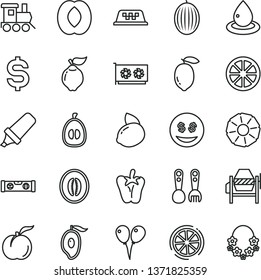 thin line vector icon set - plastic fork spoons vector, baby toy train, colored air balloons, concrete mixer, building level, peper, ripe peach, quince, melon, half of mango, loquat, lemon, yellow