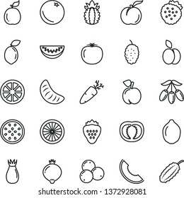 thin line vector icon set - carrot vector, strawberry, strawberries, apple, orange, peach, ripe, rose hip, medlar, blueberries, mulberry, slice of melon, goji berry, water, tangerine, juicy lemon