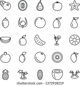 thin line vector icon set - blueberries vector, orange, pomegranate, mango, loquat, half melon, slice of tangerine, sweet date fruit, kiwi, tamarillo, sour lime, guava, piece coconut, pineapple