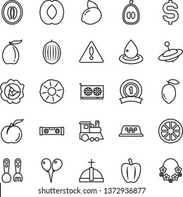 thin line vector icon set - warning vector, plastic fork spoons, children's train, yule, colored air balloons, building level, ripe peach, squash, melon, loquat, half, lemon, yellow, juicy, drop oil