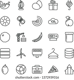 thin line vector icon set - tower crane vector, hook, portfolio, hawser, big data, gift, hanger, eggs, piece of pizza, cabbage, chili, jam, peach, tamarillo, slice pineapple, peas, windmill, CO2
