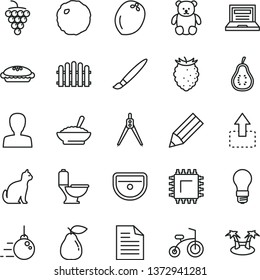 thin line vector icon set - tassel vector, laptop, scribbled paper, woman, small teddy bear, child bicycle, big core, sink, toilet, hedge, move up, pie, a bowl of buckwheat porridge, cabbage, pear
