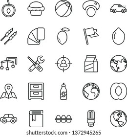 thin line vector icon set - sign of the planet vector, book, toys over cot, baby bath ball, motor vehicle, small tools, sample colour, map, flag, nightstand, package, bundle eggs, cake, barbecue