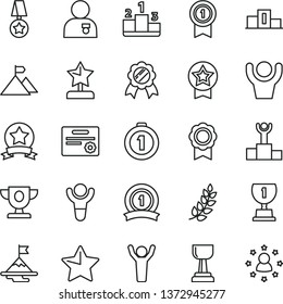 thin line vector icon set - star vector, pedestal, medal, winner, laurel branch, podium, prize, award, gold cup, reward, man hands up, with, motivation, mountain flag, first place, pennant, ribbon