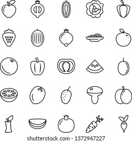 thin line vector icon set - slices of onion vector, mushroom, strawberry, orange, apple, pomegranate, squash, red, medlar, half, tasty mulberry, melon, passion fruit, sweet date, delicious, stub