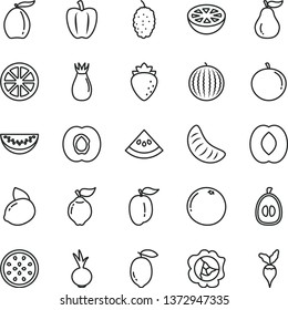 thin line vector icon set - beet vector, half apricot, squash, quince, raspberry, rose hip, mulberry, water melon, loquat, peach, slice, tangerine, of, ripe plum, lemon, yellow, juicy, passion fruit