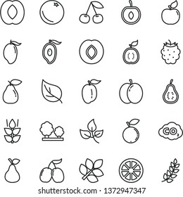 thin line vector icon set - pear vector, orange, mint, cherry, apple, apricot, plum, blackberry, blueberry, tasty cornels, mango, half of, peach, ripe, juicy lemon, guawa, part guava, leaves, leaf