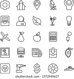thin line vector icon set - archive vector, download data, cordless drill, power socket type b, plummet, big server, pear, apricot, half of mango, slice pineapple, leaf, light bulb, location, plane