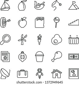 thin line vector icon set - house vector, bucket, chicken leg, chili, Chupa Chups, fried egg, red apple, half of medlar, loquat, wind energy, battery, satellite dish, gas welding, sd card, zoom