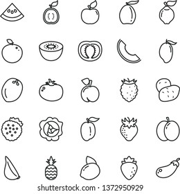 thin line vector icon set - tomato vector, garlic, strawberries, a pineapple, peach, apple, squash, quince, apricot, raspberry, strawberry, tasty, slice of melon, mango, loquat, ripe plum, kiwi