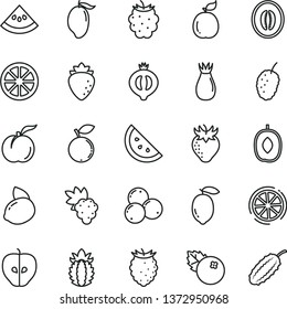 thin line vector icon set - blueberries vector, orange slice, ripe peach, grape, tasty apple, raspberry, strawberry, rose hip, half of medlar, blackberry, blueberry, mulberry, mango, delicious plum
