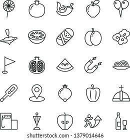 thin line vector icon set - pennant vector, electronic thermometer e, tumbler, small yule, colored air balloons, onion, chili, lollipop, popcorn, apple, pomegranate, half, red, tasty, medlar, magnet
