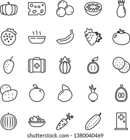 thin line vector icon set - medical bag vector, piece of cheese, hot porridge, a plate fruit, cucumber, tomato, beet, strawberries, biscuit, branch grape, rose hip, blueberries, tasty mulberry, room