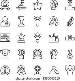 thin line vector icon set - star vector, pedestal, medal, winner, laurel branch, podium, prize, cup, gold, reward, man hands up, with, motivation, mountain flag, first place, pennant, ribbon