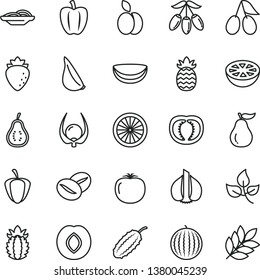 thin line vector icon set - slices of onion vector, garlic, coffee beans, apple, plum, raspberry, cornels, water melon, goji berry, half orange, piece coconut, ripe pineapple, grapefruit, guava