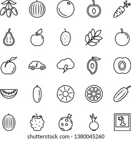 thin line vector icon set - storm cloud vector, beet, orange, ripe peach, half apricot, blackberry, mulberry, melon, water, of mango, goji berry, slice, date fruit, tasty plum, cherry, juicy lemon