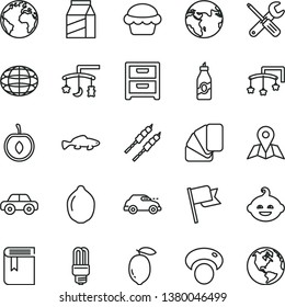 thin line vector icon set - sign of the planet vector, book, toys over cradle, cot, motor vehicle, funny hairdo, small tools, sample colour, map, flag, nightstand, package, cake, barbecue, fish