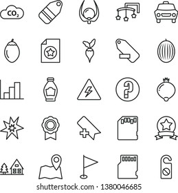 thin line vector icon set - danger of electricity vector, add bookmark, remove label, pennant, negative histogram, question, toys over the cot, car, bottle, medlar, melon, tamarillo, physalis, CO2