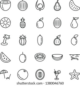 thin line vector icon set - a pineapple vector, orange slice, melon, water, half, date fruit, of tangerine, passion, sour lime, guava, guawa, piece coconut, ripe, grapefruit, part, physalis, beach
