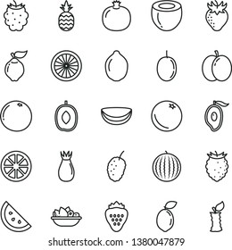 thin line vector icon set - a plate of fruit vector, strawberry, pineapple, orange slice, apple, pomegranate, quince, rose hip, blackberry, tasty raspberry, mulberry, water melon, half mango, lime