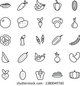 thin line vector icon set - fried vegetables on sticks vector, onion, slices of, cabbage, cucumber, chili, peper, beet, garlic, carrot, squash, mulberry, sweet date fruit, apple stub, ripe pepper