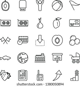 thin line vector icon set - wind direction indicator vector, baby carriage, bath ball, toy phone, move down, small fish, branch of grape, plum, blueberries, delicious, ripe, onion, planet, schedule