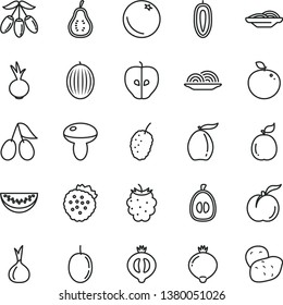 thin line vector icon set - onion vector, slices of, mushroom, beet, strawberries, orange, ripe peach, tasty apple, cornels, medlar, half, blackberry, mulberry, melon, loquat, goji berry, sweet date