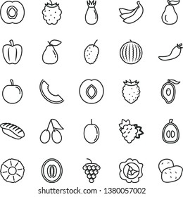 thin line vector icon set - japanese sushi vector, half apricot, branch of grape, large, squash, pear, plum, rose hip, cornels, blackberry, tasty raspberry, mulberry, water melon, slice, mango