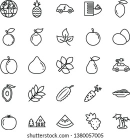 thin line vector icon set - eggs vector, slices of onion, a pineapple, apple, grape, quince, pear, fig, blueberry, half mango, tasty plum, lemon, slice water melon, persimmon, carrot, cucumber