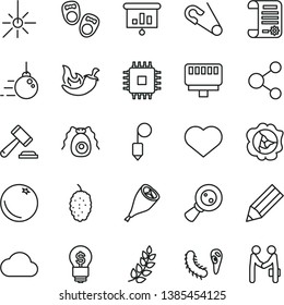 thin line vector icon set - heart symbol vector, hammer of a judge, open pin, shoes for little children, big core, plummet, grill chicken leg, chili, orange, squash, mulberry, outdoor thermometer