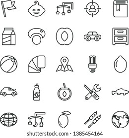 thin line vector icon set - book vector, toys over the cradle, cot, baby bath ball, motor vehicle, funny hairdo, small tools, sample of colour, map, flag, nightstand, package, barbecue, fish, liquor