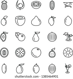 thin line vector icon set - blueberries vector, orange, fig, melon, water, mango, half of, loquat, date fruit, sweet, lime, passion, tamarillo, sour, guawa, coconut, pineapple, slice, grapefruit