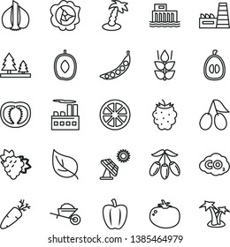 thin line vector icon set - garden trolley vector, tomato, carrot, mint, branch of grape, squash, cornels, blackberry, goji berry, delicious plum, half loquat, juicy lemon, Bell pepper, garlic, peas