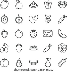 thin line vector icon set - piece of cheese vector, onion, peper, carrot, pear, peach, apple, squash, raspberry, cornels, blackberry, slice melon, delicious plum, half cherry, coconut, grapefruit